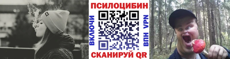 Купить  Заволжск  Псилоцибиновые грибы прущие грибы 